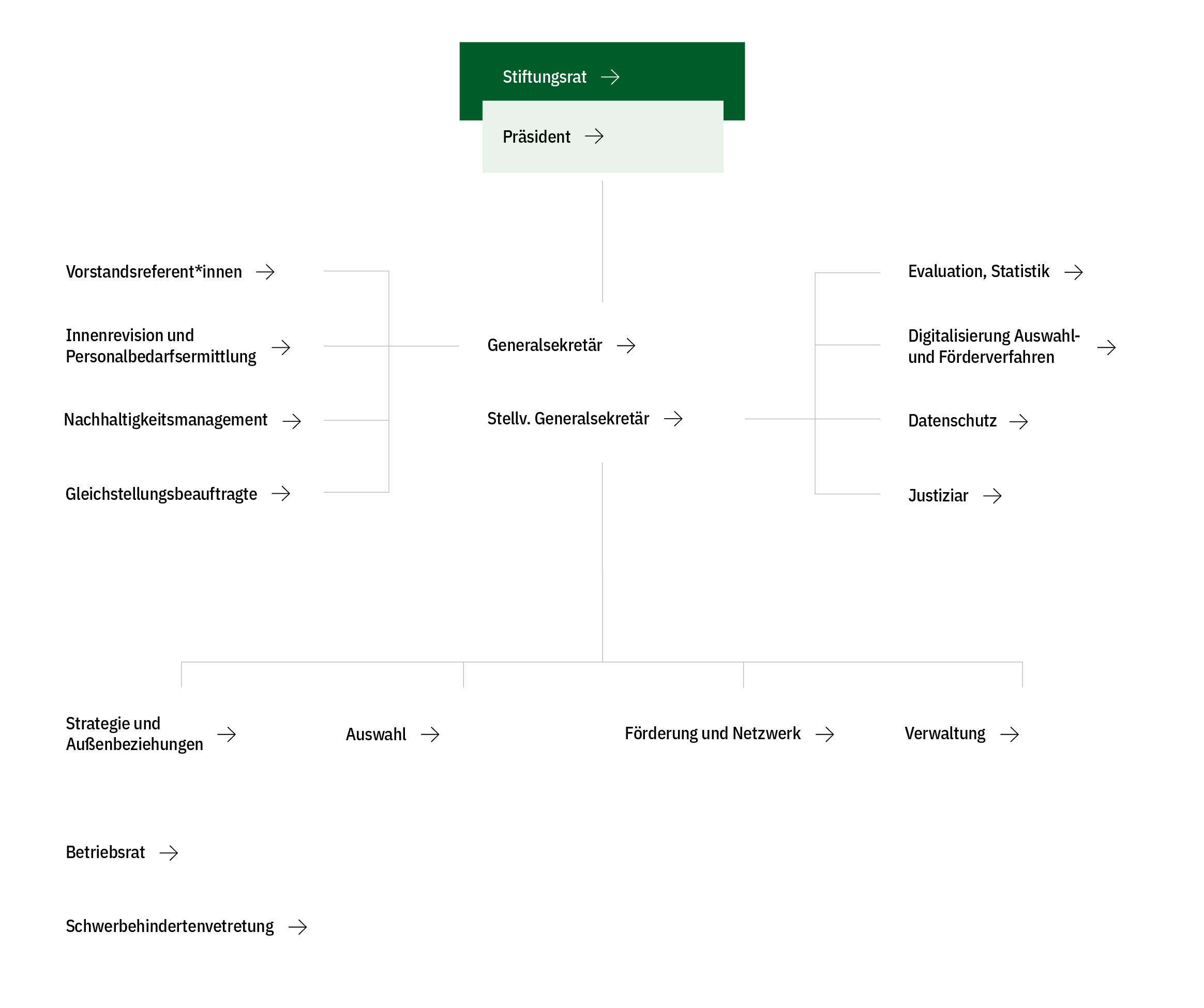 Grafische Darstellung Organigramm der Humboldt-Stiftung