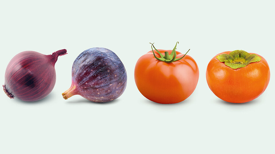 Kaum zu unterscheiden: Eine Feige und eine rote Zwiebel sowie eine Tomate und eine Kaki