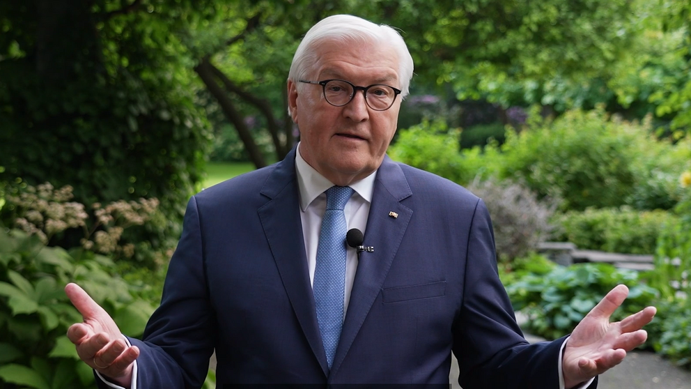 Bundespräsident Steinmeier bei seiner Rede zur Jahrestagung der Humboldt-Stiftung
