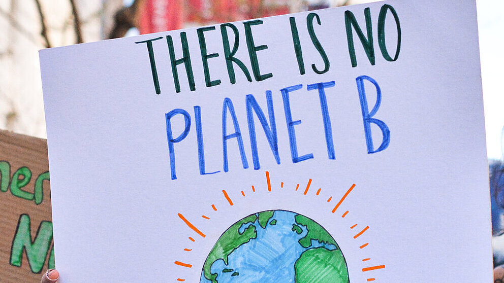 Klimaschutz-Demonstration, Person mit Schild: "There is no planet B"