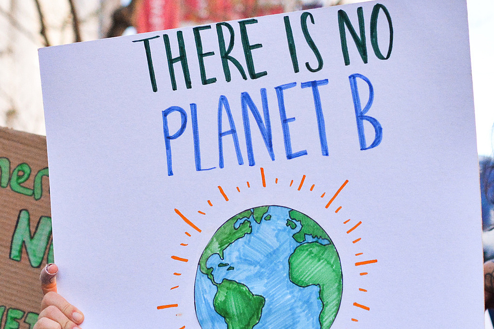 Klimaschutz-Demonstration, Person mit Schild: "There is no planet B"