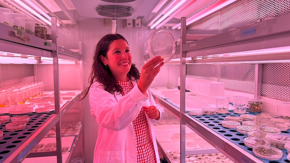 Alba Lloret Compañ in einem weißen Laborkittel in einem Labor mit rosa Beleuchtung. Sie hält einen durchsichtigen Behälter mit einer Pflanze darin und betrachtet ihn mit einem Lächeln. Im Hintergrund sind Regale mit ähnlichen Behältern und Proben zu erkennen.