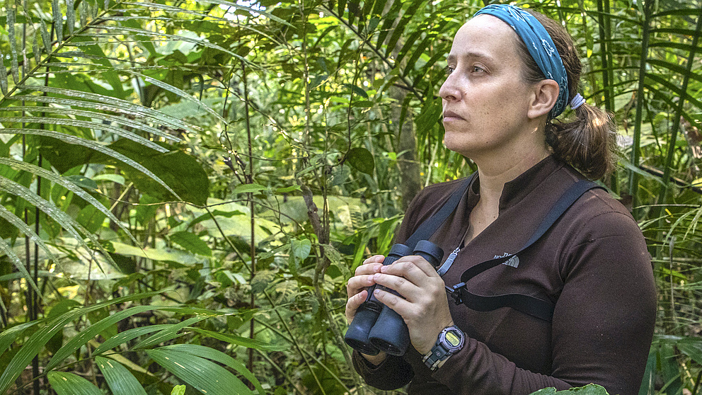 Margaret Crofoot im Regenwald
