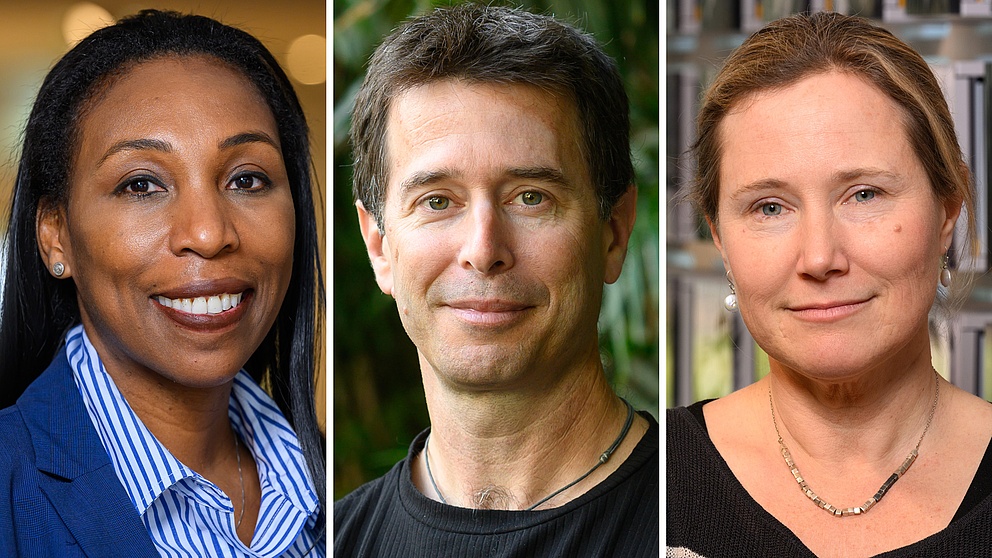 Portraits  Kandice Tanner, Rotem Sorek, Amy Buck