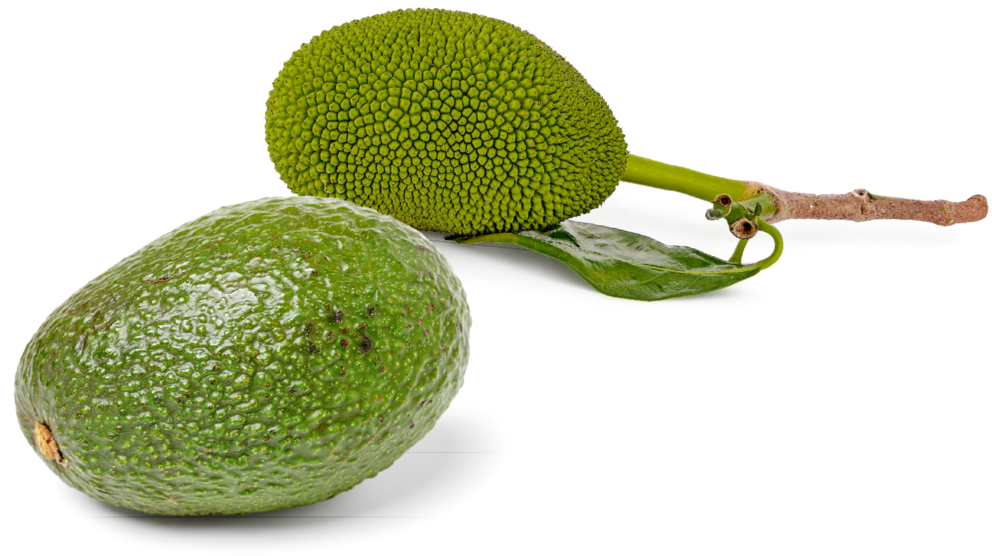 Zum Verwechseln ähnlich: Eine Avocado und eine Jackfrucht