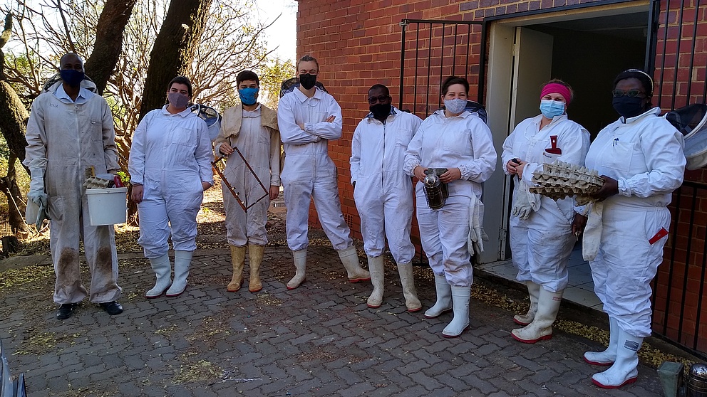 Mitglieder der Social Insects Research Group