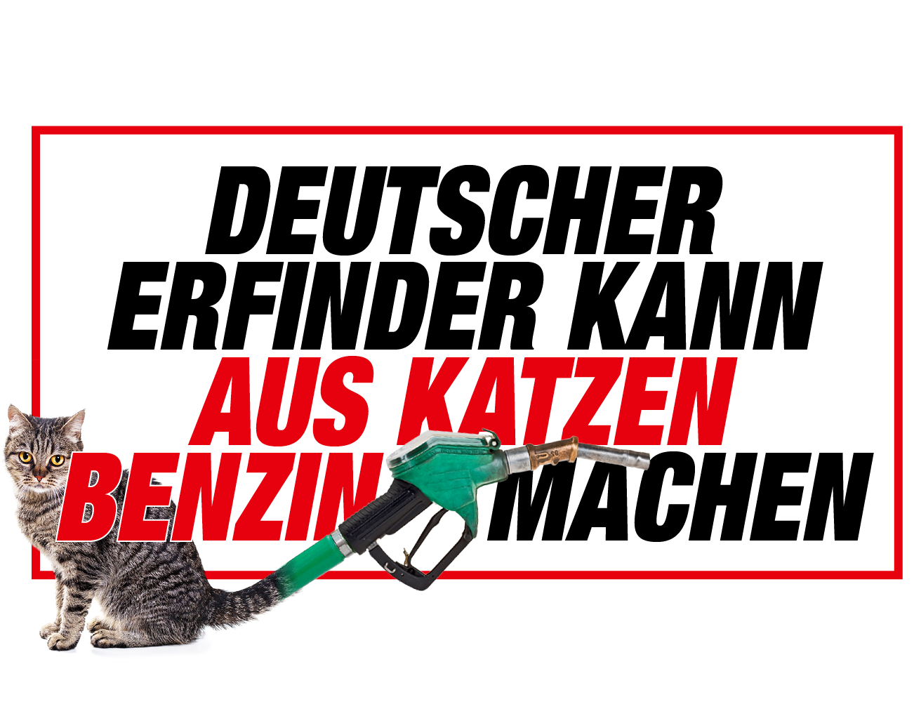 Deutscher Erfinder kann aus Katzen Benzin machen 