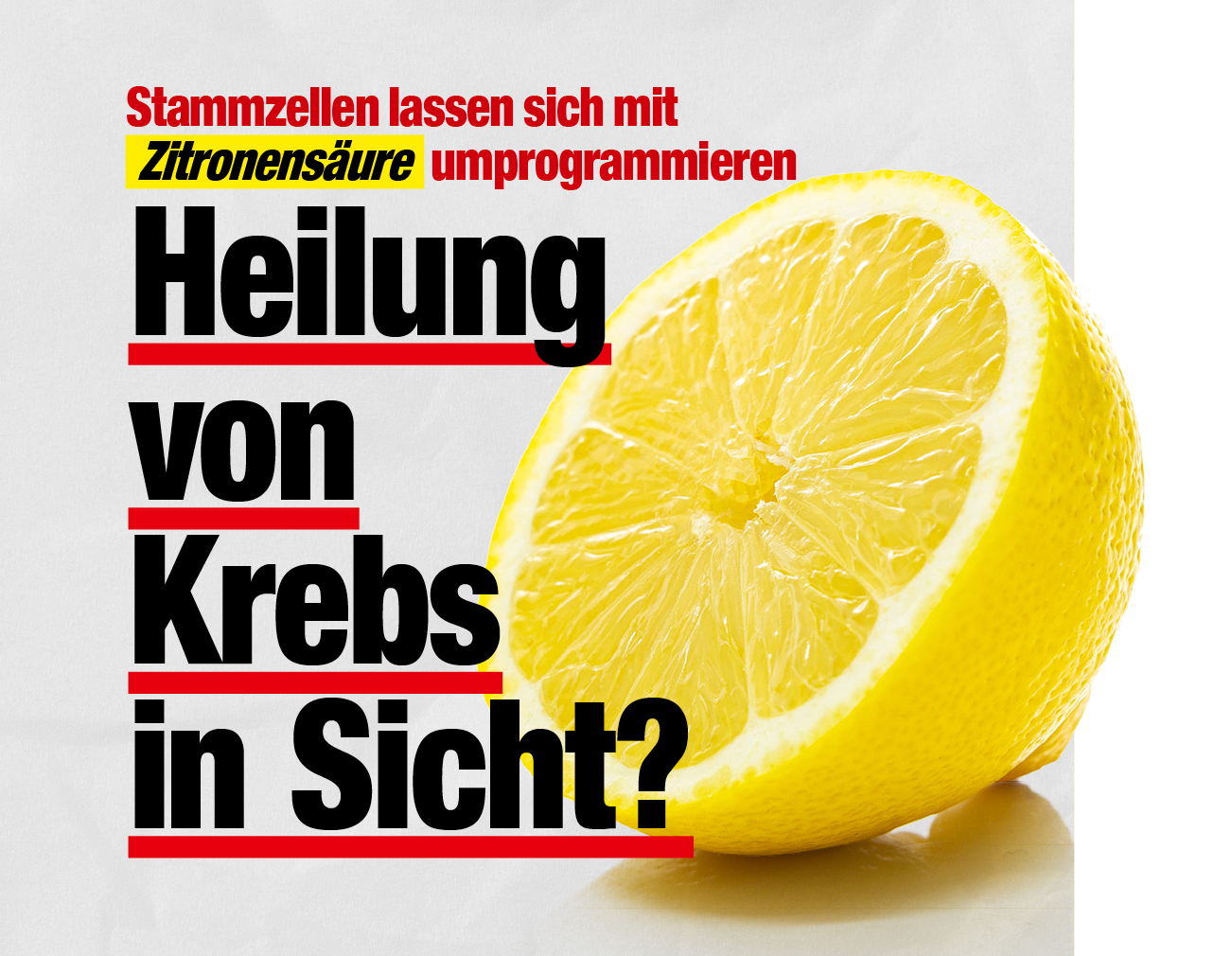 Stammzellen lassen sich mit Zitronensäure umprogrammieren: Heilung von Krebs in Sicht?