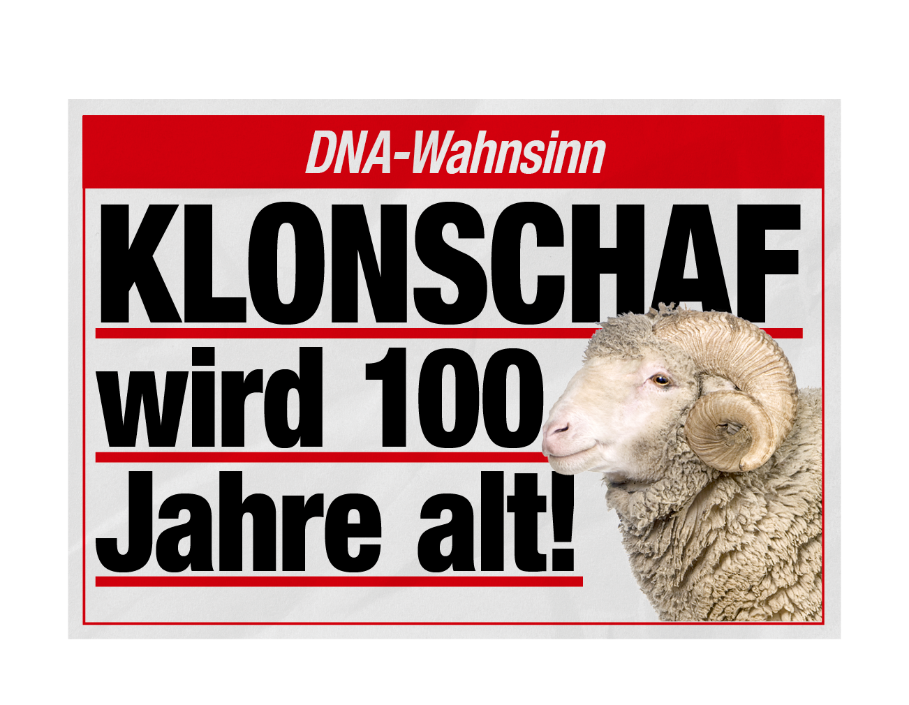 DNA-Wahnsinn: Klonschaf wird 100 Jahre alt