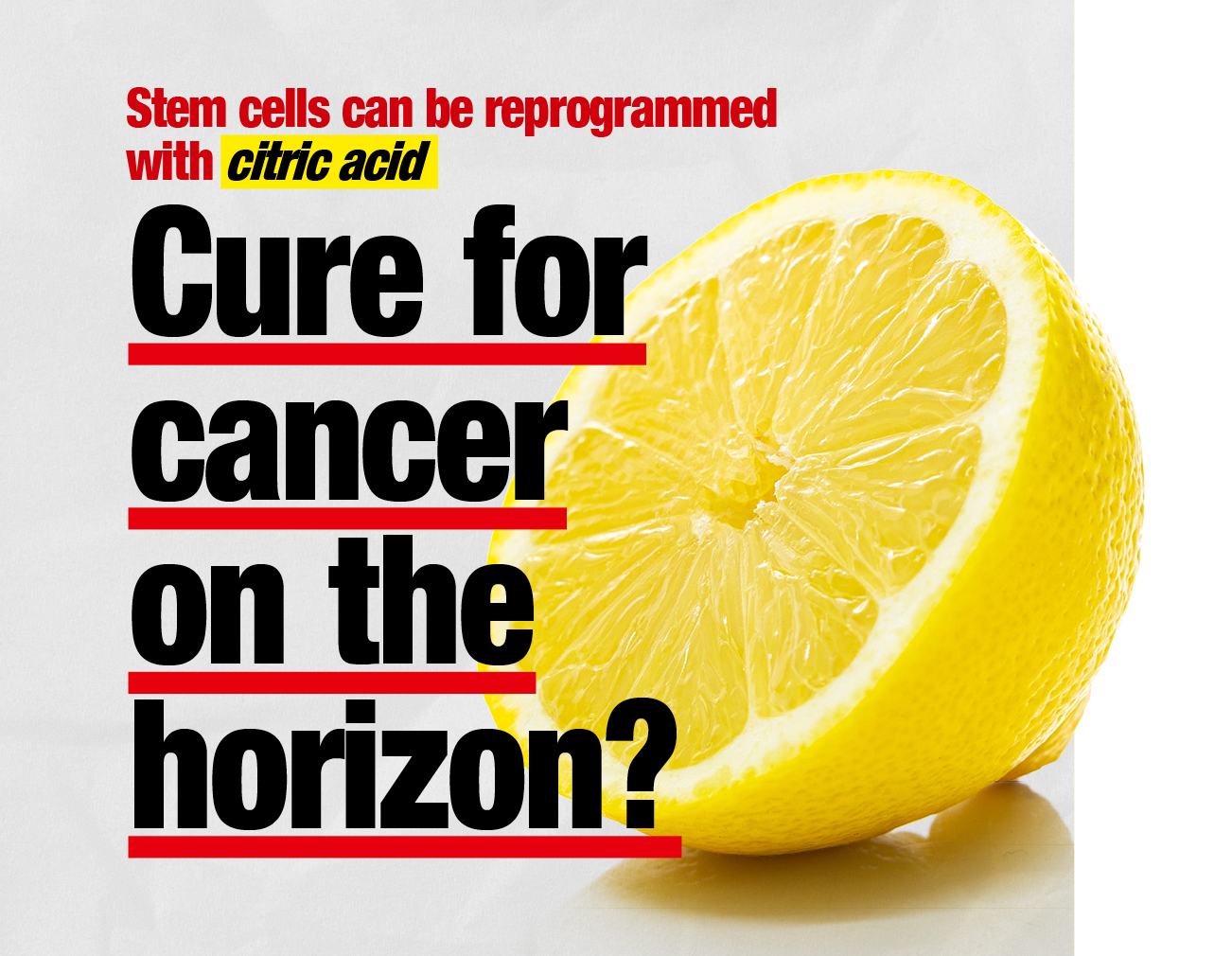 Stem cells can be reprogrammed with citric acid