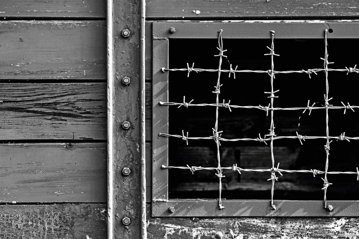 “The horror can happen again” Alexander von HumboldtFoundation