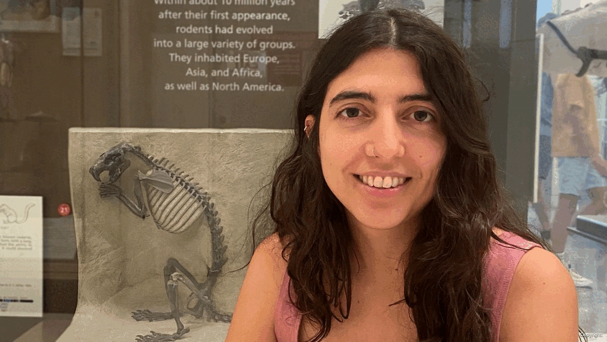 Fossils and Diversity: research for progress